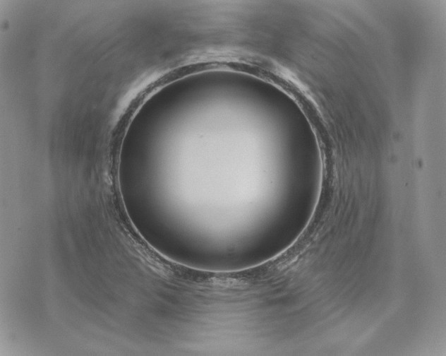 X0000075401312200609291631