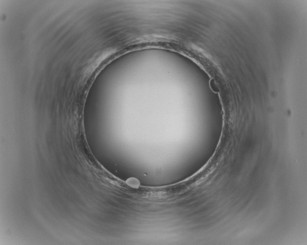 X0000075401313200609291631