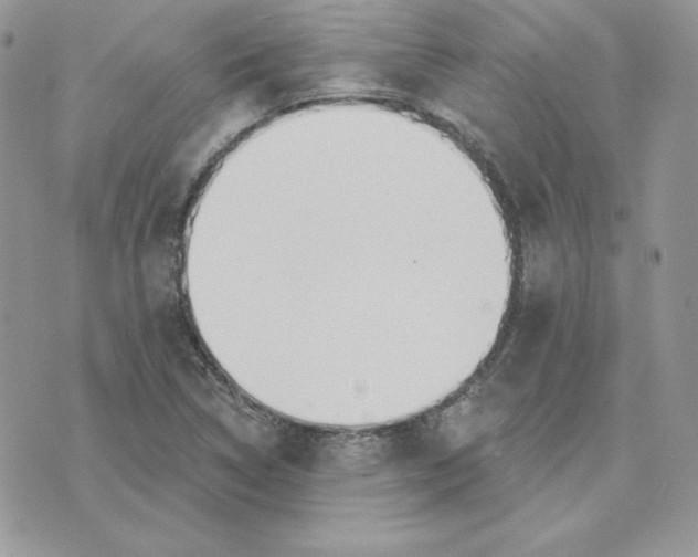 X0000075401314200609291631