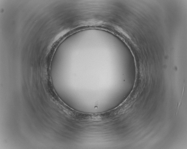 X0000075401315200609291631