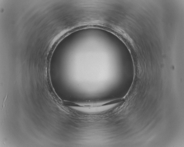 X0000075401316200609291631