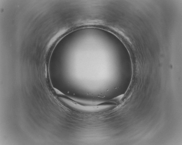 X0000075401317200609291631