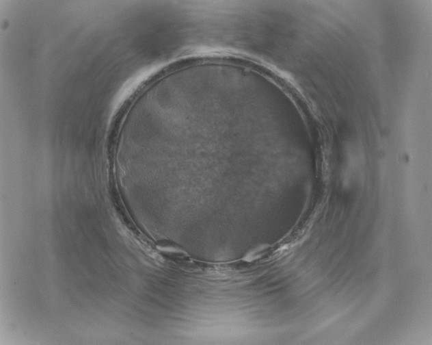 X0000075401319200609291631