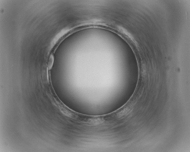 X0000075401320200609291631