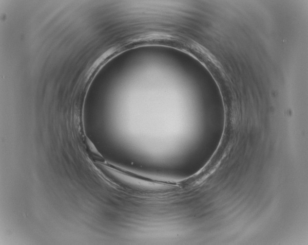 X0000075401321200609291631