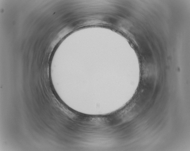 X0000075401322200609291631