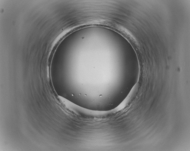 X0000075401324200609291631