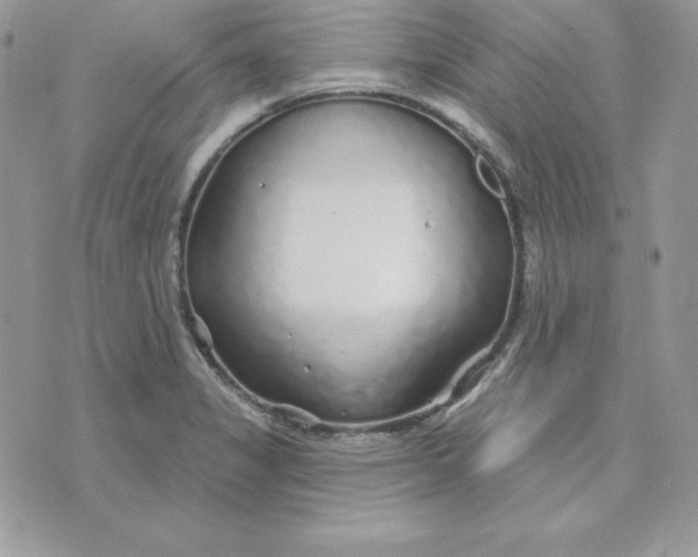 X0000075401325200609291631