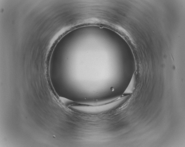 X0000075401326200609291631