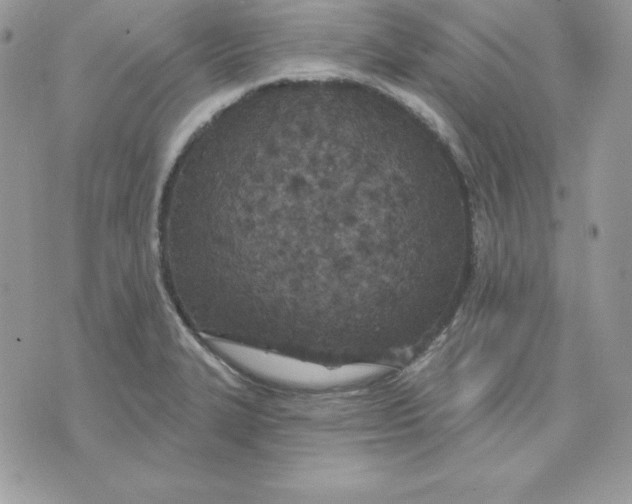 X0000075401327200609291631