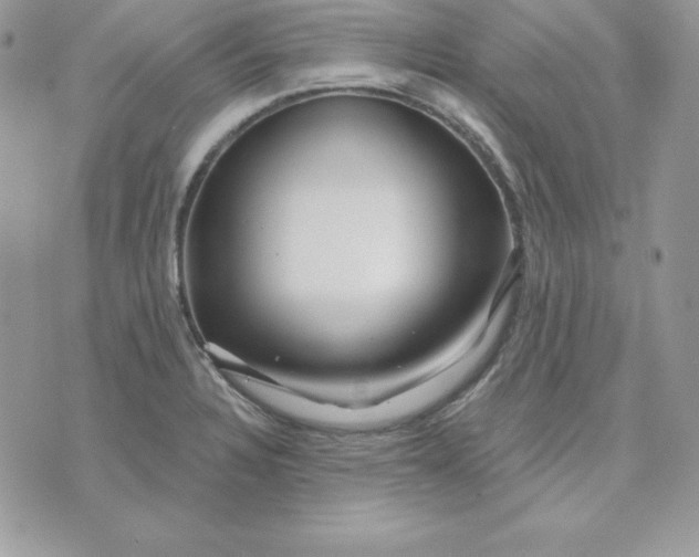 X0000075401328200609291631