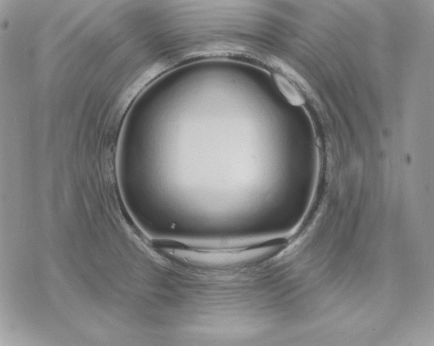 X0000075401329200609291631