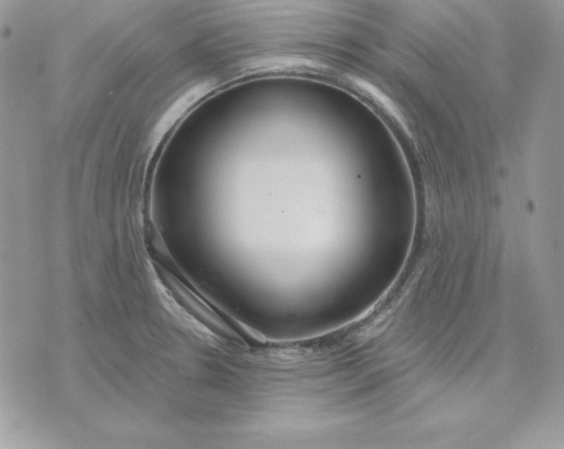 X0000075401330200609291631