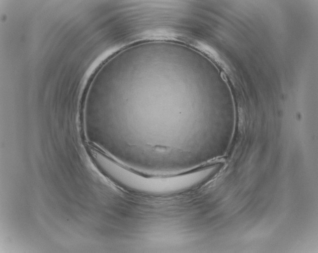 X0000075401331200609291631