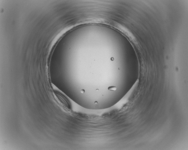 X0000075401332200609291631