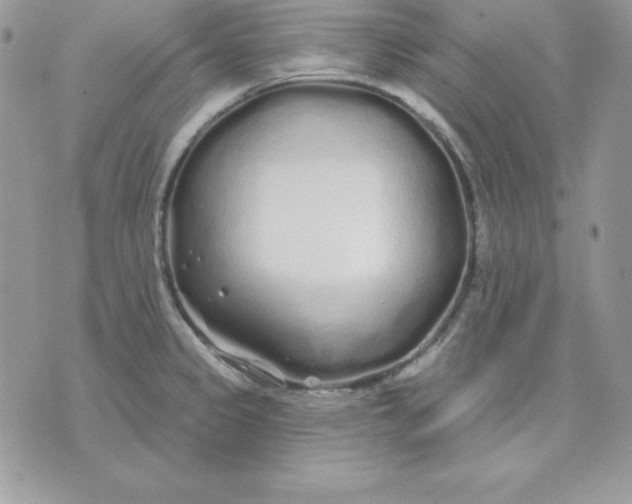 X0000075401333200609291632