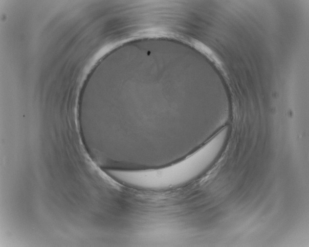 X0000075401334200609291632