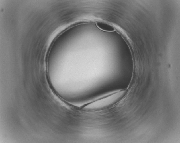 X0000075401335200609291632