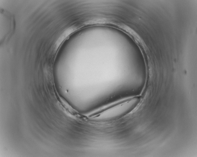 X0000075401337200609291632