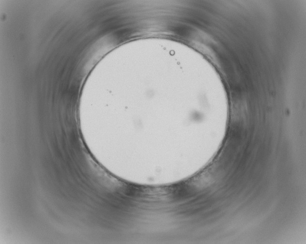 X0000075401338200609291632