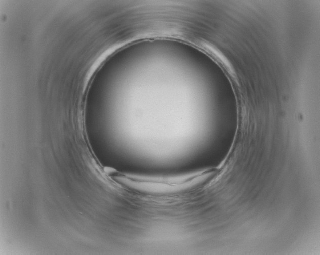 X0000075401340200609291632