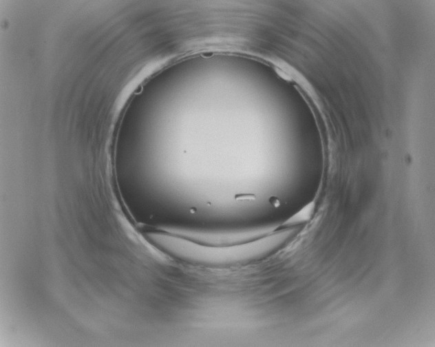 X0000075401341200609291632