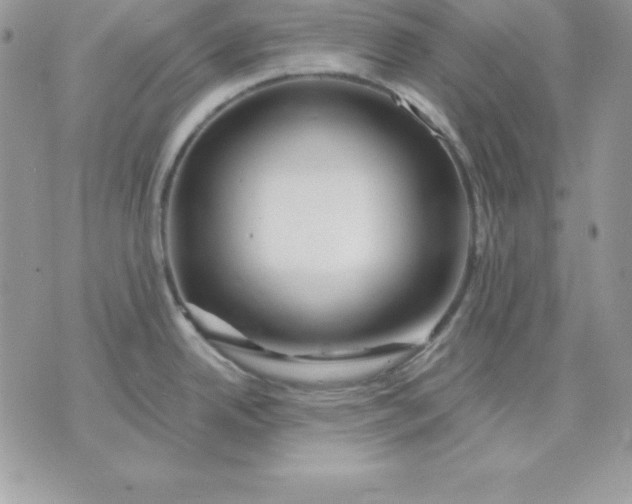 X0000075401342200609291632