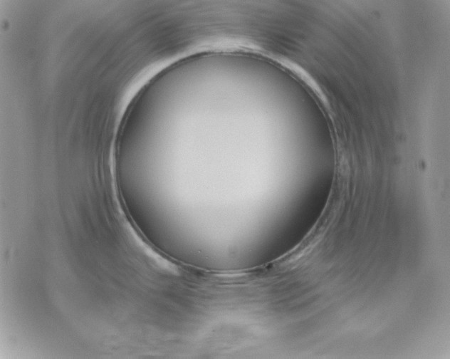 X0000075401343200609291632