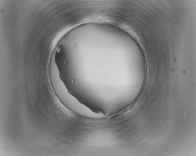 X0000075401344200609291632