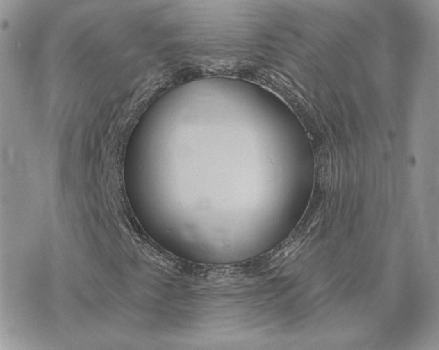 X0000075401345200609291631