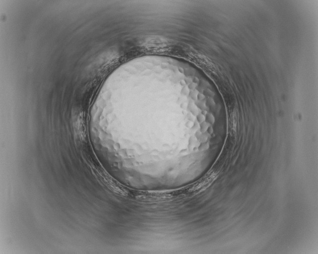 X0000075401346200609291631