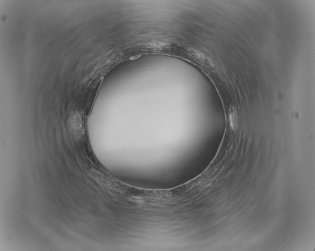 X0000075401347200609291631