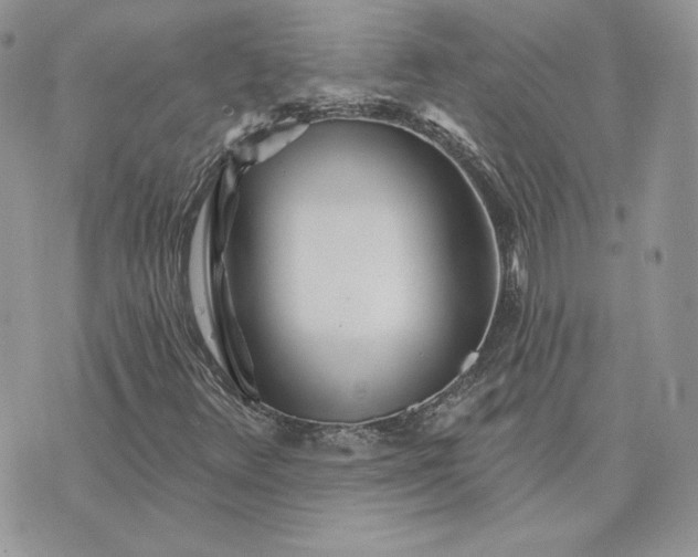 X0000075401348200609291631