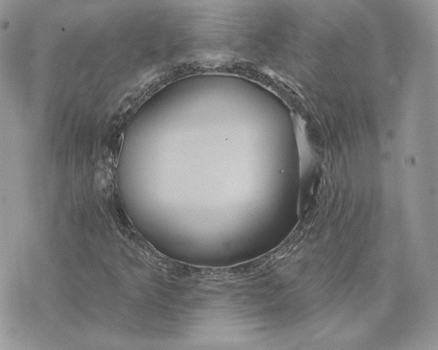 X0000075401349200609291631