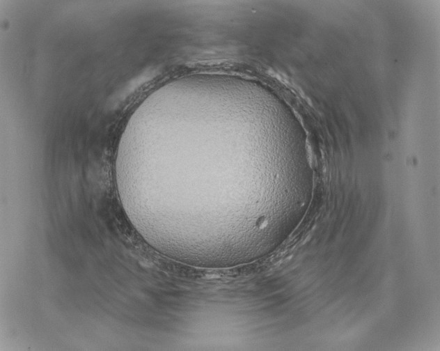 X0000075401350200609291631