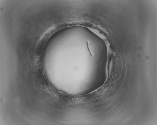 X0000075401351200609291631