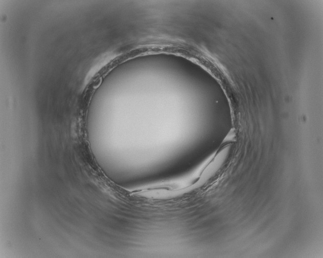 X0000075401352200609291631