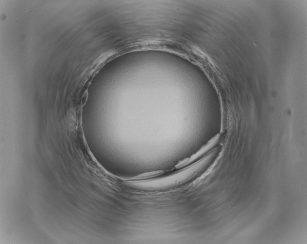 X0000075401353200609291631