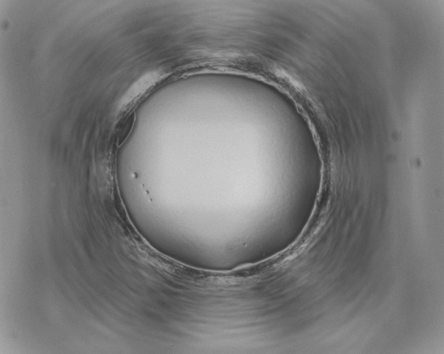 X0000075401354200609291631