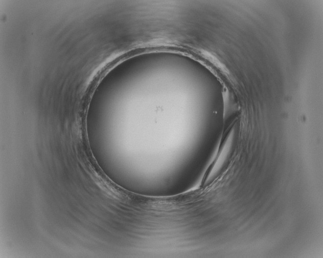 X0000075401356200609291631