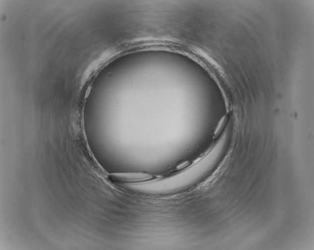 X0000075401357200609291631