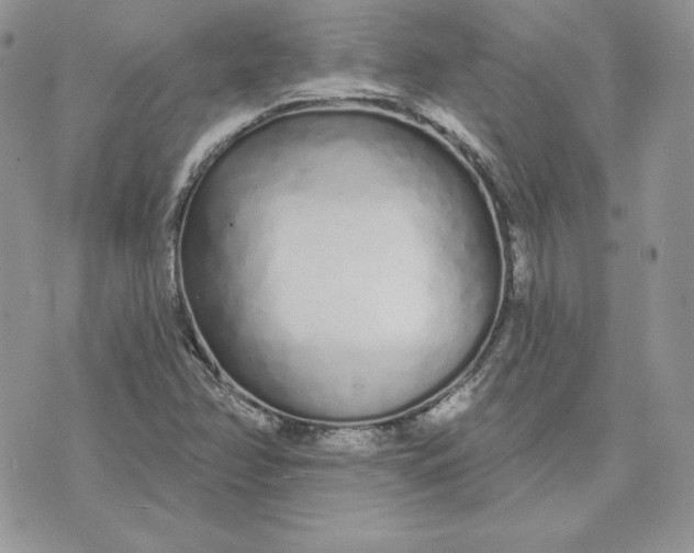 X0000075401358200609291631