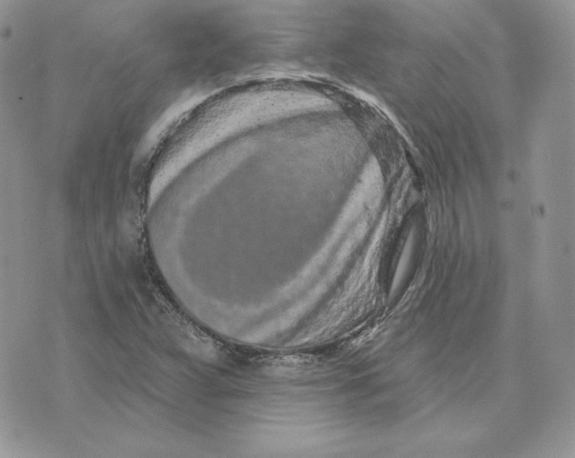 X0000075401359200609291631