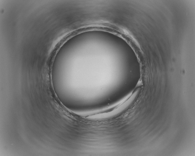 X0000075401360200609291631