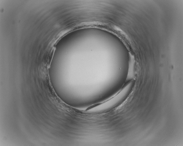 X0000075401361200609291631