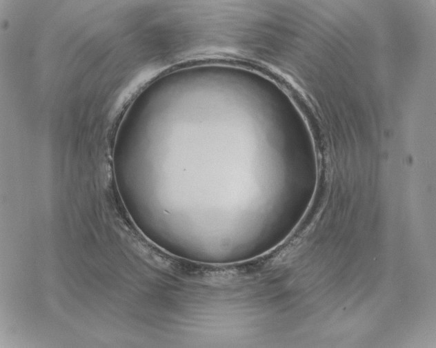 X0000075401363200609291631