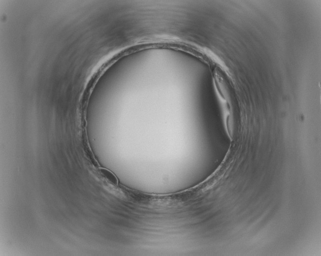 X0000075401364200609291631