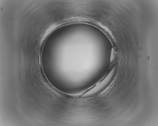 X0000075401365200609291631