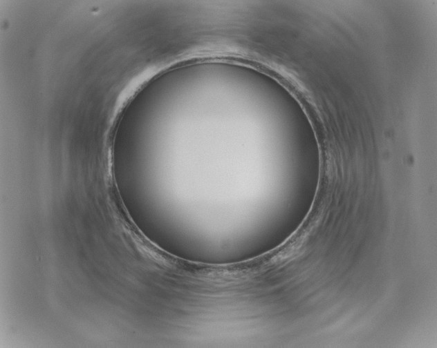 X0000075401366200609291631