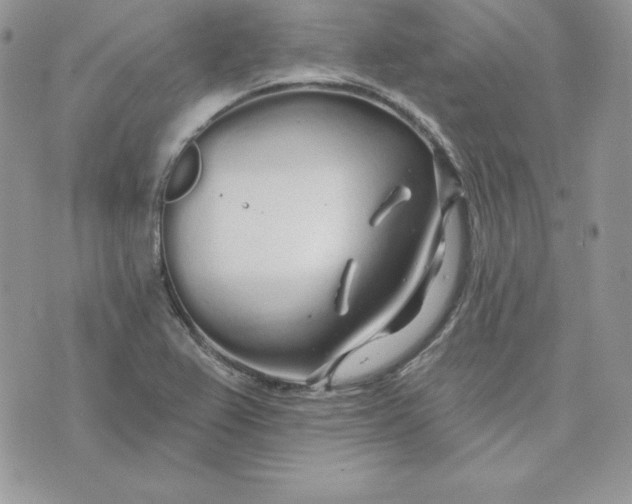 X0000075401367200609291631